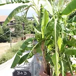 Frühstückspension Casagalez 3*