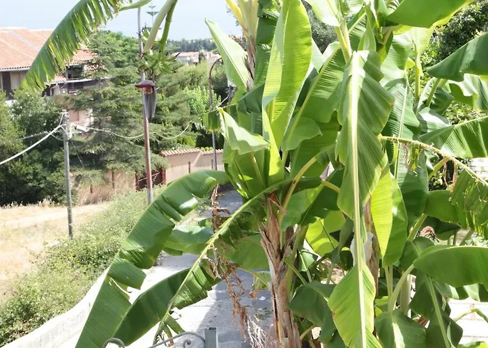 לינה וארוחת בוקר Casagalez 3*